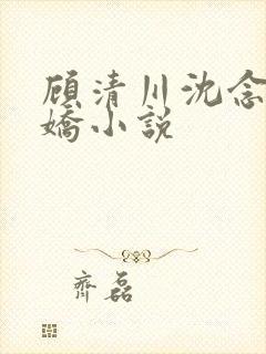 顾清川沈念李娇娇小说