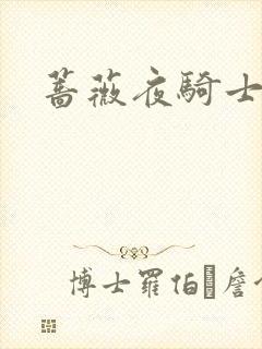 蔷薇夜骑士