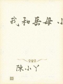 我和岳母 小说