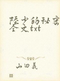陆少的秘密恋人全文txt