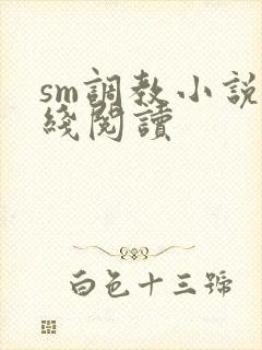 sm调教小说在线阅读