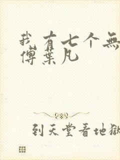 我有七个无敌师傅叶凡