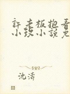 许老板抱看书的小玫小说免费阅读