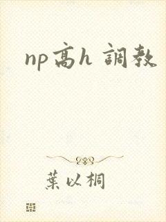 np高h 调教
