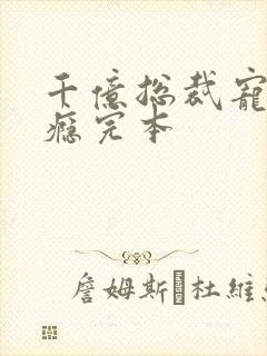 千亿总裁宠妻上瘾完本封面