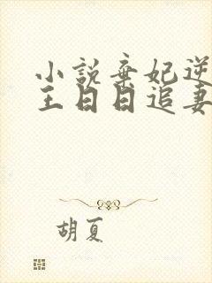 小说弃妃逆袭邪王日日追妻忙免费阅读封面