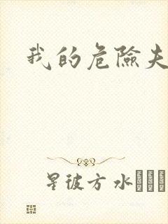 我的危险夫人