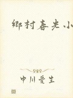 乡村春光小说