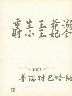 重生王爷溺宠贪财小王妃全文免费阅读封面