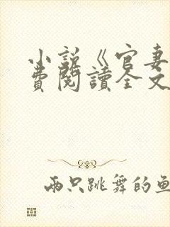 小说《官妻》免费阅读全文