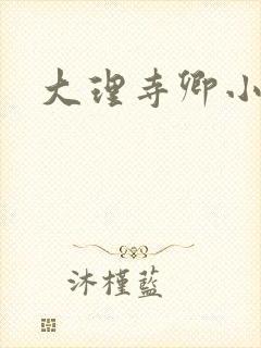 大理寺卿小说