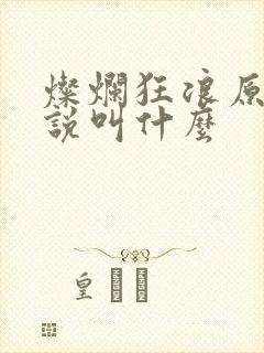 灿烂狂浪原著小说叫什么封面