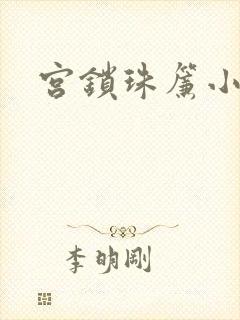 宫锁珠帘小说