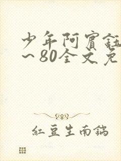 少年阿宾钰慧1～80全文免费