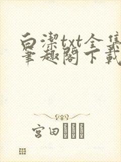 白洁txt全集笔趣阁下载封面