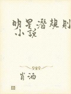明星潜规则之皇 小说