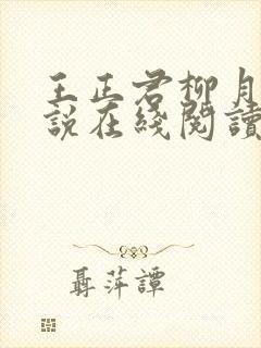王正君柳月瑶小说在线阅读全文