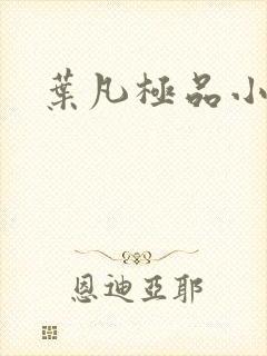 叶凡极品小姨