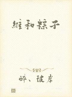 维和粽子