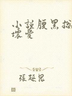小说腹黑总裁坏坏爱