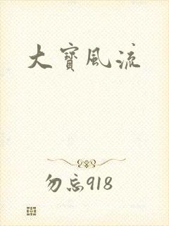 大宝风流封面