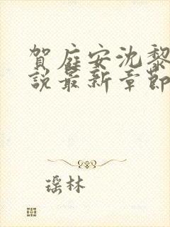 贺庭安沈黎初小说最新章节更新内容