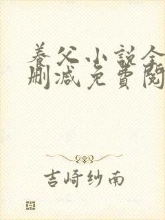 养父小说全文无删减免费阅读完整版封面