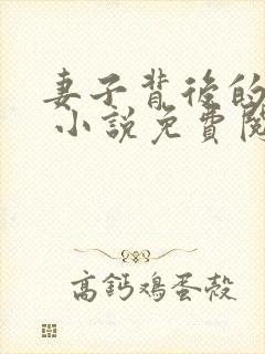 妻子背后的秘密 小说免费阅读