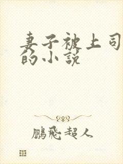 妻子被上司中出的小说