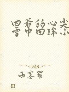 四爷的心尖宠妃雪中回眸小说