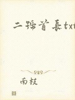 二号首长txt