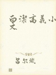白洁高义小说全文