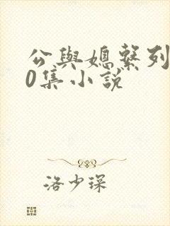 公与媳系列100集小说