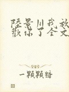 陆景川我放弃喜欢你了全文免费阅读小说封面