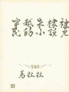 穿越朱棣被贬农民的小说免费阅读