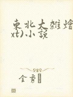 东北大杂烩(txt)小说