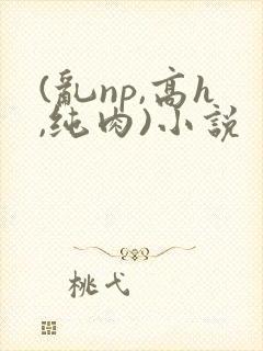 (乱np,高h,纯肉)小说封面