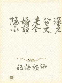 隐婚老公深夜来小说全文免费阅读