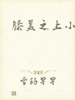膝盖之上小说