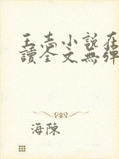 王志小说在线阅读全文无弹窗