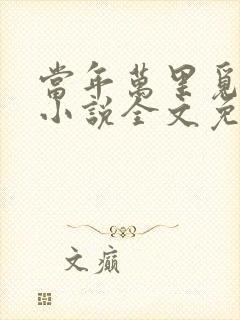 当年万里觅封侯小说全文免费阅读全文封面