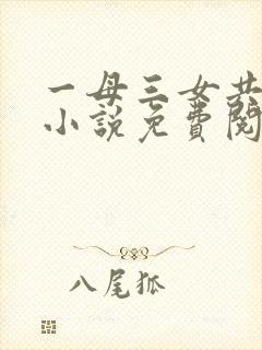 一母三女共一婿小说免费阅读乡村