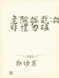 危险总裁:总裁非礼勿碰封面