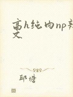 高h纯肉np辣文封面