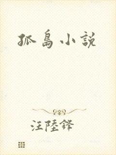 孤岛小说