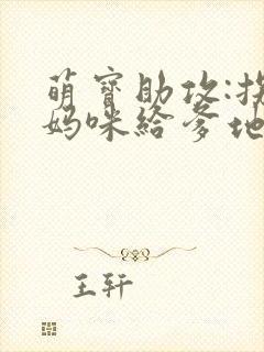 萌宝助攻:拐个妈咪给爹地