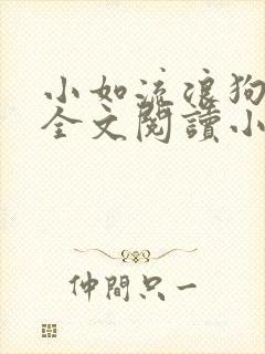 小如流浪狗01全文阅读小说