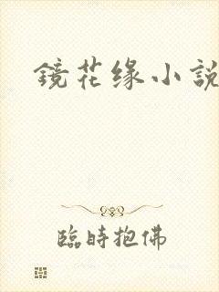 镜花缘小说