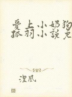 爱上小奶狗by孤羽小说免费阅读