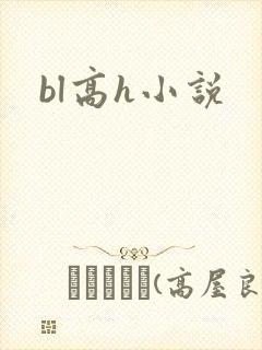 bl高h小说